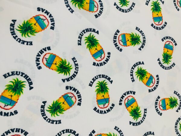 Eleuthera Pineapple Print - Stretch