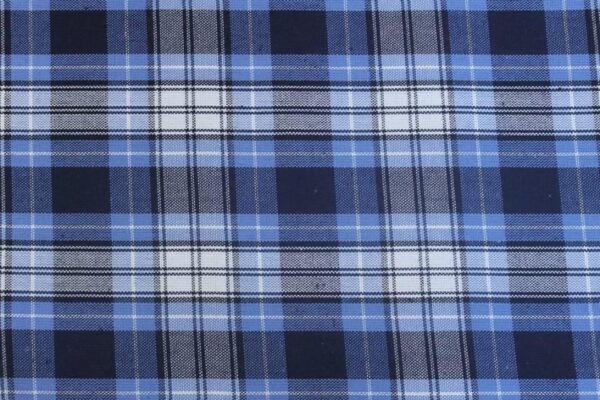 School Uniform - Plaid 10019