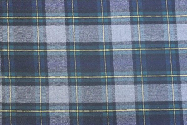 School Uniform - Plaid 10021