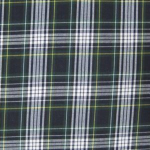 School Uniform - Plaid 10040