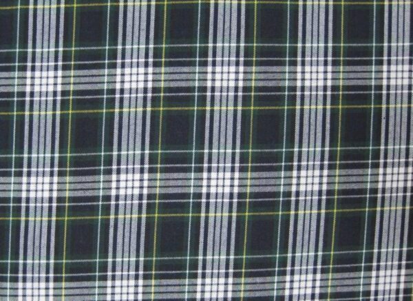 School Uniform - Plaid 10040